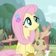 Fluttershy