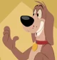 scarf the dog