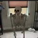 Plastic Skeleton
