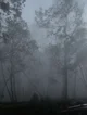zombie apocalypse