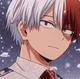 Shoto Todoroki