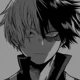 MHA-Todoroki Shoto