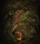 The fae king 