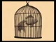 Fish in a Birdcage