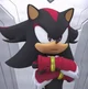 Shadow the Hedgehog 