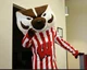 Bucky Badger