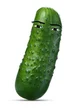 Cucumber