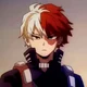 Shoto Todoroki 