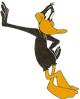 Daffy Duck