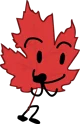 Maple Leaf