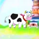 Lola the Cow
