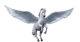 Pegasus