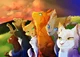 Warrior Cats
