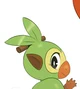 Anthro Grookey