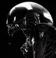 Xenomorph
