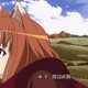Spice and Wolf -RPG-