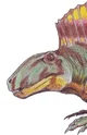 Ctenospondylus