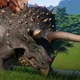 Stegoceratops
