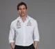 Toto wolff