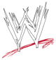 WWE