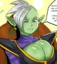 Fem Zamasu 