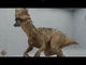 Lab vore
