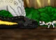 I-rex 