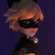Cat noir