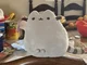 Pusheen