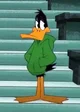 Daffy Duck