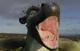 Dragon vore