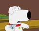 Brian Griffin