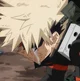 Bakugou 