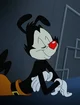 Yakko Warner