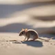 Brave mouse