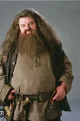 Hagrid 