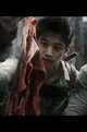 Minho - Maze Runner
