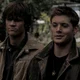 the winchesters