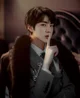 Kim Seokjin
