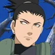 Shikamaru Nara