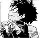 Izuku Midoriya 