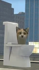 Skibidi cat