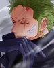 Zoro bodyguard