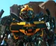 Bumblebee -AOE-
