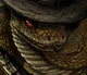 Rattlesnake Jake