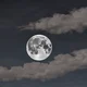 The Moon