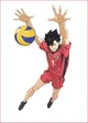 Kuroo Tetsurou 