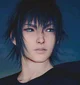 Noctis Lucis Caelum 