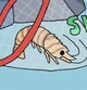 Pessimistic Shrimp
