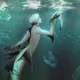 Kelp